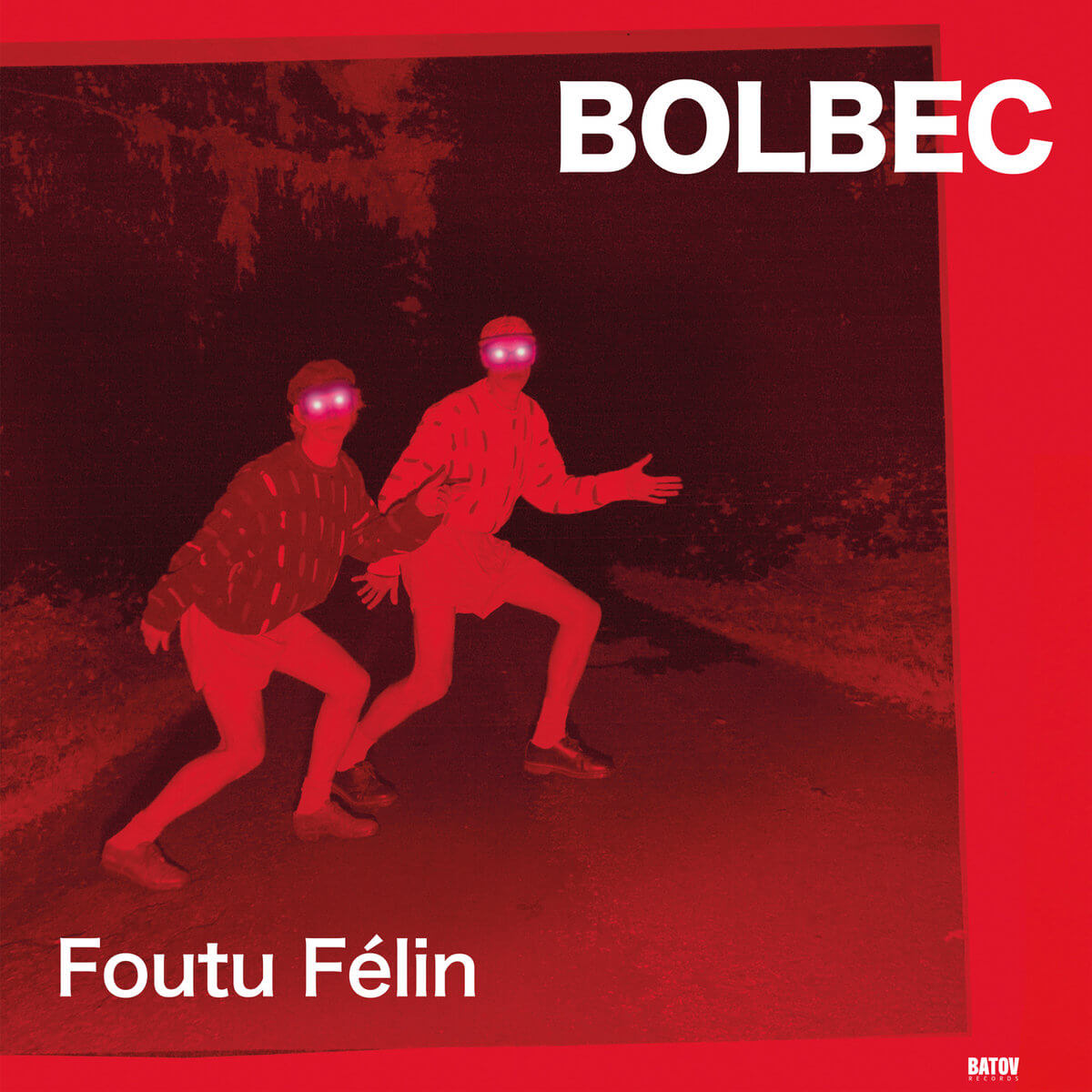 Bolbec :: Foutu Félin
