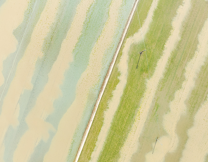 Il mare a quadretti