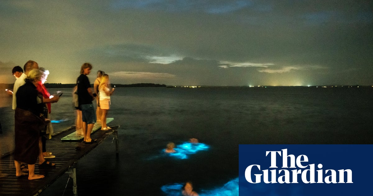 Bioluminescent algae’s blue light harnessed to make 3D-printed shapes