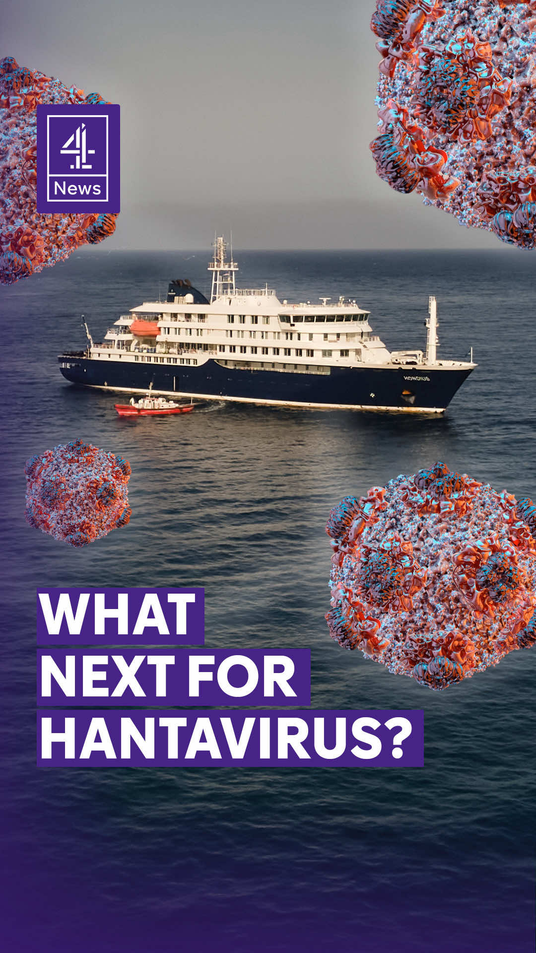 A British man and two other people have been evacuated from the cruise ship stuck in the Atlantic, hit by the deadly hantavirus. There have been seven identified cases and three deaths so far. So what's next for those on board, and just how far could this virus spread? #Hantavirus #WHO #Health #Virus #C4News