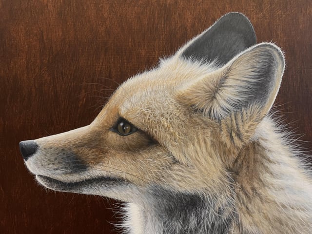 Red Fox, Vincent Bihn II, Acrylic, 2023
