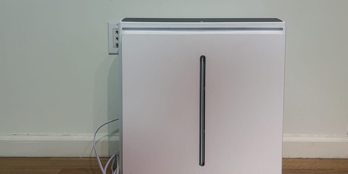 Rabbit Air MinusA3 Ultra-Quiet Air Purifier Review: The Air in My Apartment Has Never Smelled Better