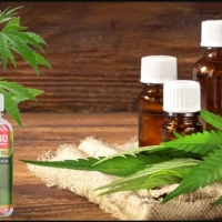 lifehealhUSA