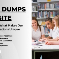 Best Dumps Site