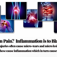 Tetra Bliss CBD Gummies