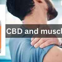 Hempified CBD Gummies