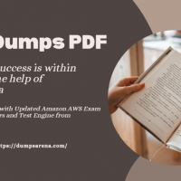 AWSDumps PDF