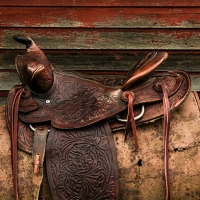 westernsaddle