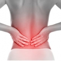 Zen Leaf Lawrence CBD Gummies