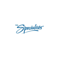 The Specialists Auto Tint