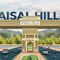 Faisal Hills