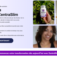 zentraslim384
