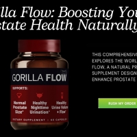Gorillaflow Price