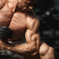 Anabolic Hubs