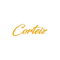 corteiz hoodie