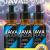 Java Brain