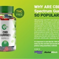 Dr Oz Bioheal CBD Gummies