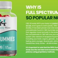 Harmony Wave 300mg