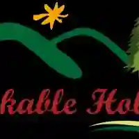 Remarkable Holoday