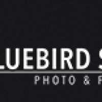 Bluebird Studio 