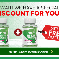 PlantaRX CBD Cube Gummies