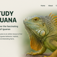 study iguana