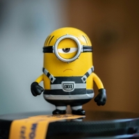 biplob
