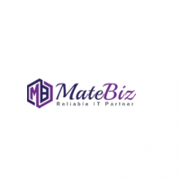 Matebiz Pvt Ltd