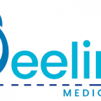 Beeline Medical LLC