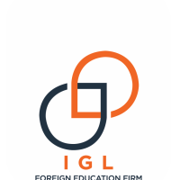 immigration consultant