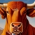 Moo Friend