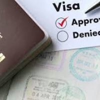 Dubaivisa