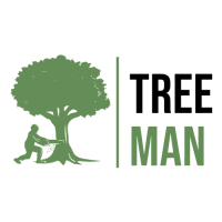 tree-manny