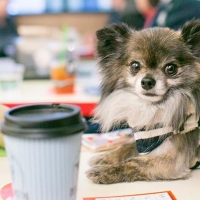 Biocentrism&#039;s debunked