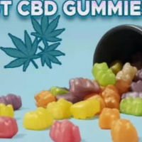 Anatomy One CBD Gummies