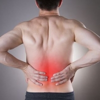 Dr OZ Bioheal CBD Gummies