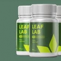 leafcostlab