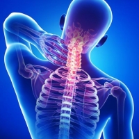 Canna Labs CBD Gummies