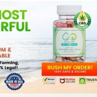 Joint Plus CBD Gummies