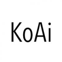 KoAi 