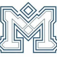 Manaviya Tech Solutions