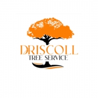 Driscoll Tree Service