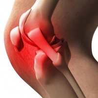 Peak8CBDGummiesOffer