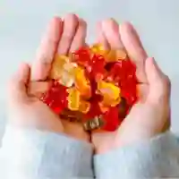 Joint Plus CBD Gummies