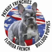 Patriot Frenchies