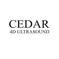 cedar4dultrasound