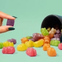 Kelly Clarkson Weight Loss Dr OZ