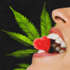 Bloom CBD Gummies