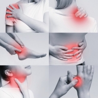 Smart Hemp Gummies Canada