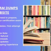 Best Exam Dumps Website